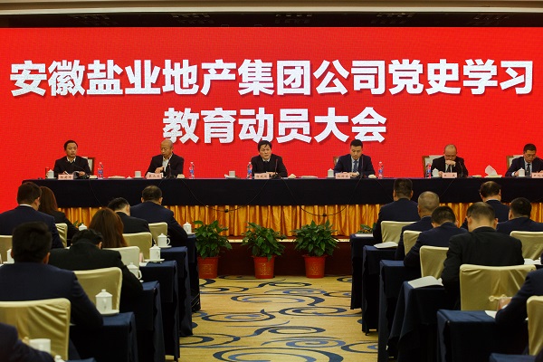 安徽Z6尊龙凯时地产集团公司召开党史学习教育动员大会