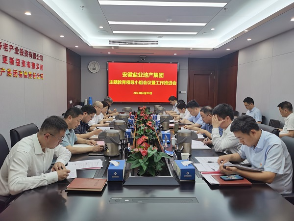 安徽Z6尊龙凯时地产集团召开学习贯彻习近平新时代中国特色社会主义思想主题教育领导小组会议暨工作推进会