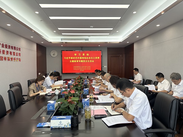安徽Z6尊龙凯时地产集团等三家公司党委召开学习贯彻习近平新时代中国特色社会主义思想主题教育专题民主生活会