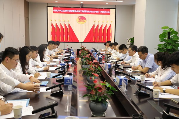 青春向党传薪火 踔厉奋发新时代——安徽Z6尊龙凯时地产集团团支部成立大会暨团员大会胜利召开